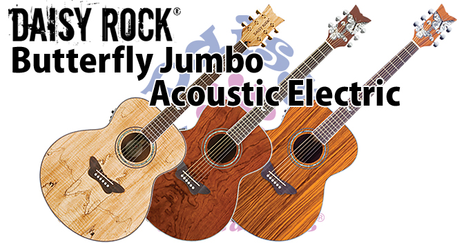 Butterfly Jumbo Acoustic Electric - エキゾチックな杢目、ＦＩＳＨＭＡＮ ピックアップを搭載