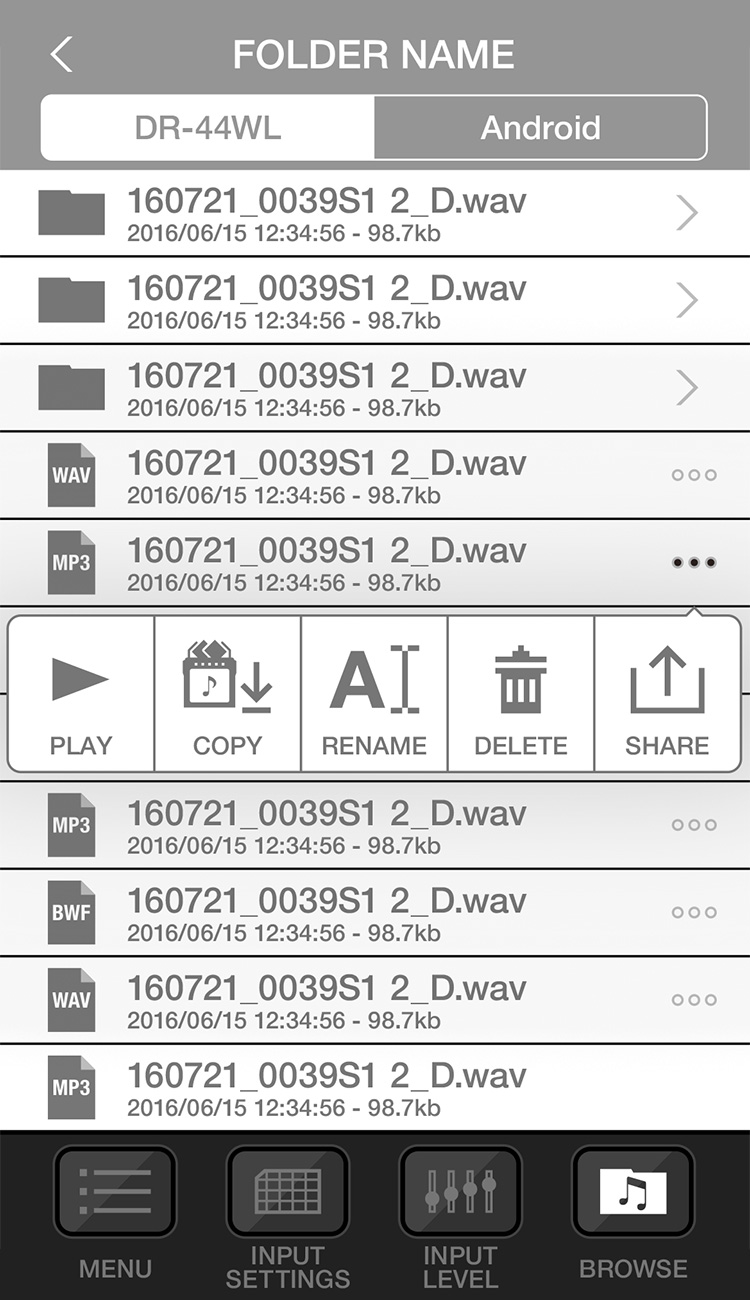 TASCAM DR CONTROL