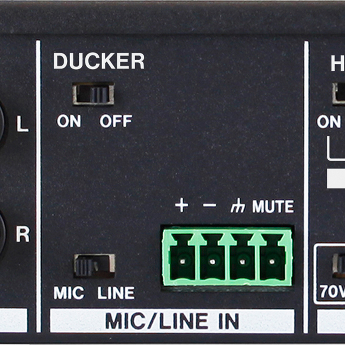 Mic Input With Paging Function