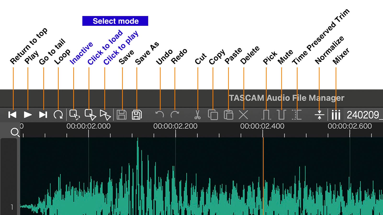 Audio File Manager